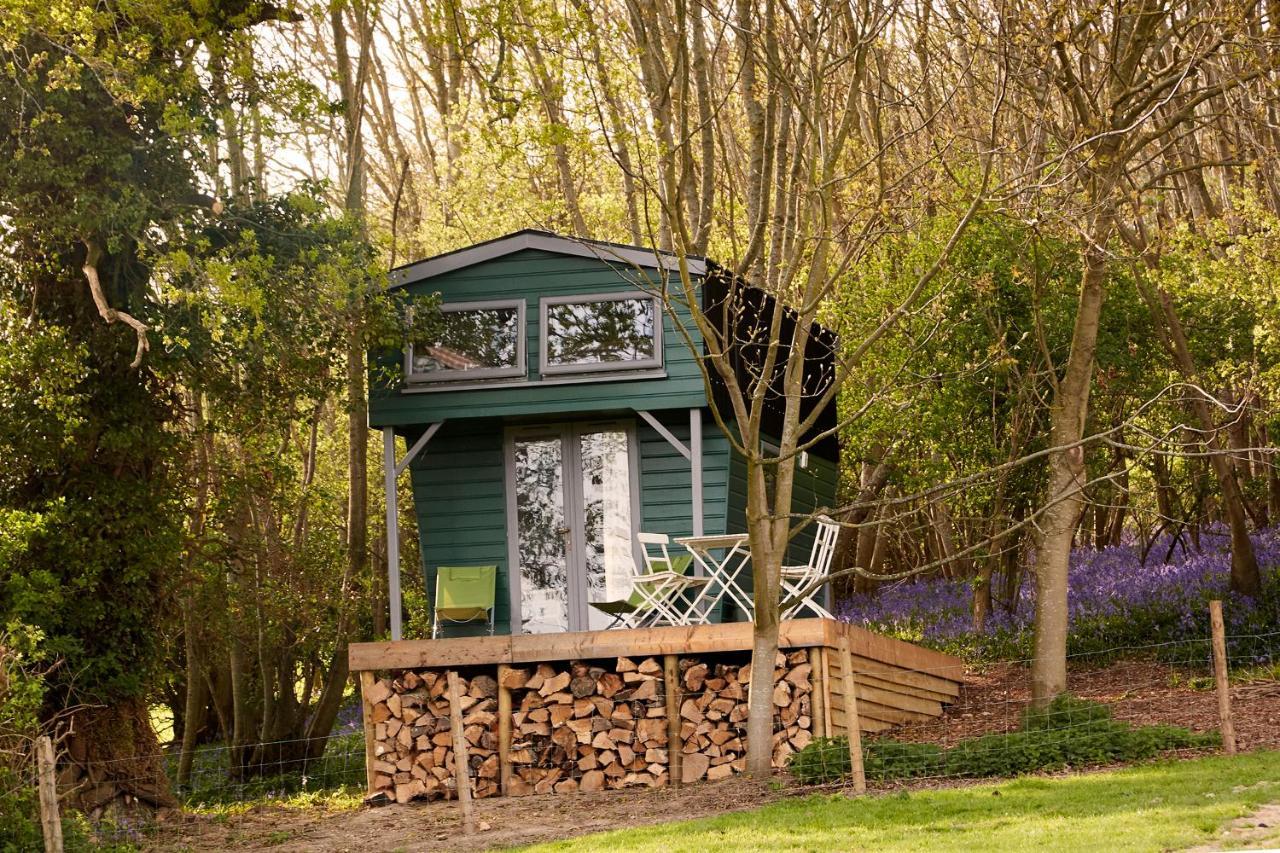 فيلا Extraordinary Huts Ltd راي المظهر الخارجي الصورة
